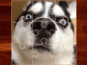 Casse-tête canin spirituel